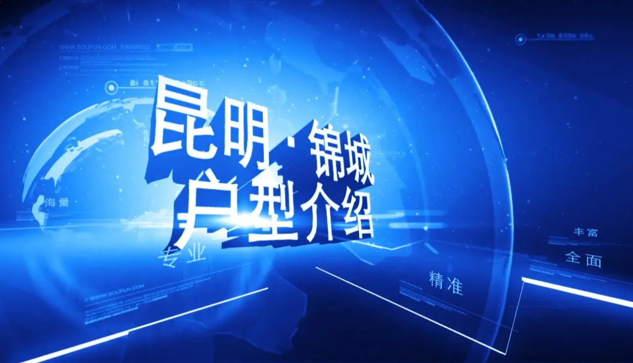 锦城 户型介绍