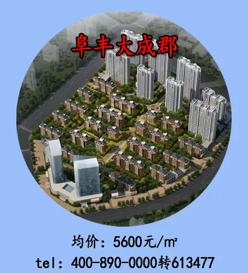 阜丰大成郡
